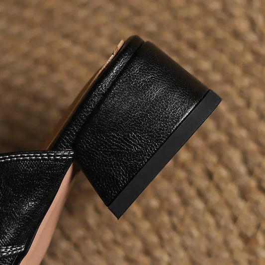 https://cdn.shopify.com/s/files/1/0988/8700/8598/files/7_edd51200-62e9-4af8-a8c9-38df212a5e3f.webp?v=1773846457