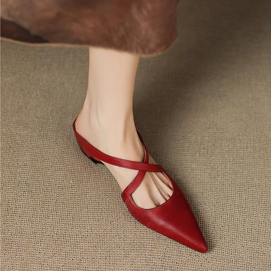 https://cdn.shopify.com/s/files/1/0988/8700/8598/files/S0e6b303399f04a24a2322f4885aa96c5P.jpg?v=1773846506