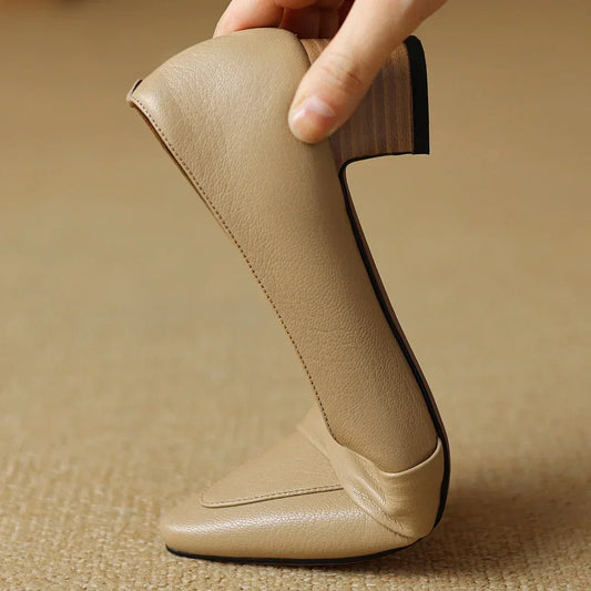 https://cdn.shopify.com/s/files/1/0988/8700/8598/files/S1064e2cd828b4452afaebc75a442e1e6Q.webp?v=1773846530