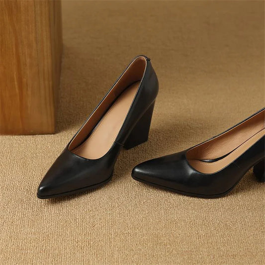 https://cdn.shopify.com/s/files/1/0988/8700/8598/files/S98f2dc5f2d224c8f92d5184ec67d7d01p.webp?v=1774483056