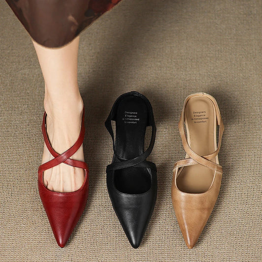 https://cdn.shopify.com/s/files/1/0988/8700/8598/files/Sb2b8a6d56832468b92df58d01c47ba58t.jpg?v=1773846506