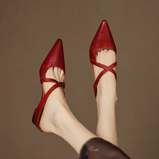https://cdn.shopify.com/s/files/1/0988/8700/8598/files/Sb75e76d75d7a43e4bc0c8a6f395f06bb4.webp?v=1773846505