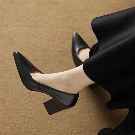 https://cdn.shopify.com/s/files/1/0988/8700/8598/files/Scf5ce2f755c4446ca917a60df4a9d7d45.webp?v=1774483056