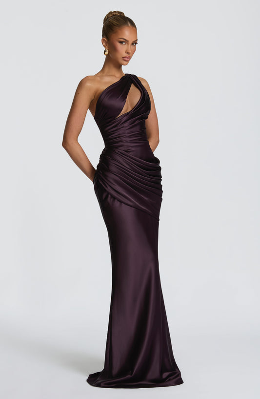 Emira Corset Maxi Dress Plum – back view